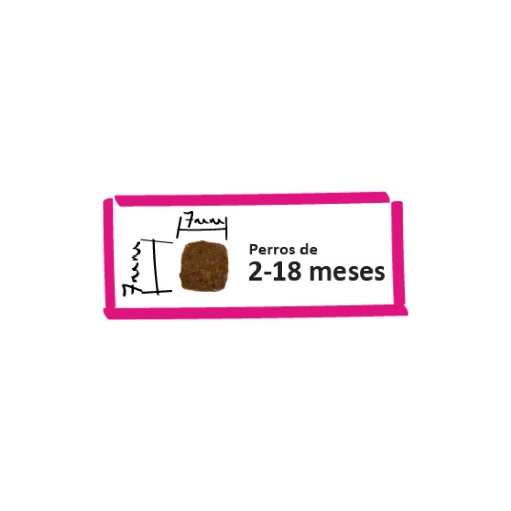 Imagen del producto 3
